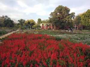 Hotels in Patiala